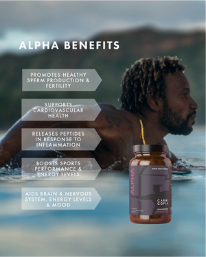 ALPHA - Men's Formula - Beef Testicles & Liver